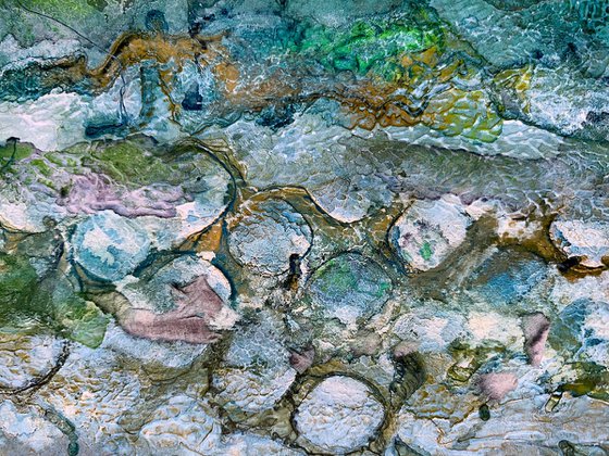 Beneath the Sea Shallows