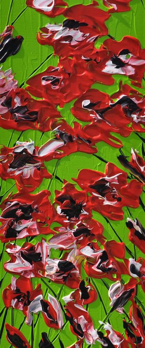Poppy Delight 2 by Daniel Urbaník