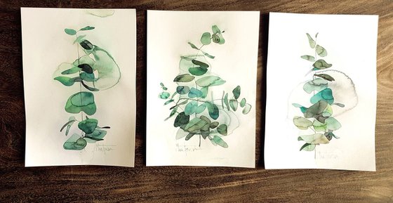 Eucalyptus #2 - A3 size