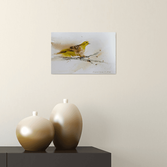 Little yellow bird