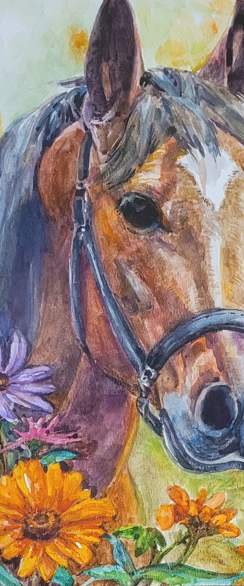 Summer horse by QI Debrah