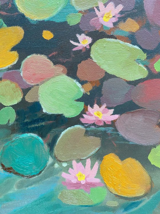 Water lilies
