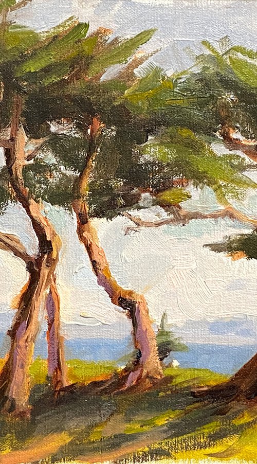 Cypress Trees plein air sketch by Tatyana Fogarty