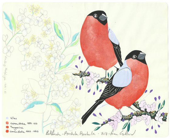 Bullfinch and Hydrangea