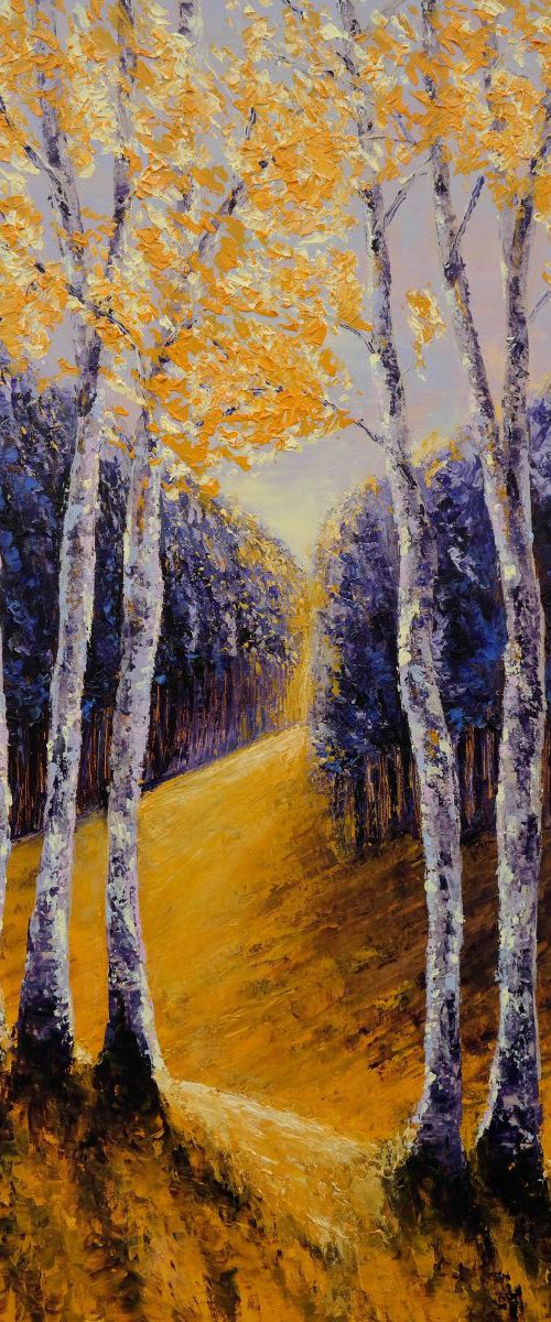 Walk me trough by Danijela Dan