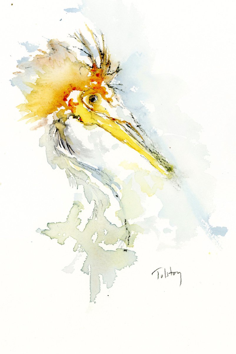 Crested Bird by Alex Tolstoy