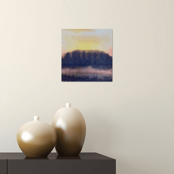 Turners Paddock lake Sunset, Stourhead