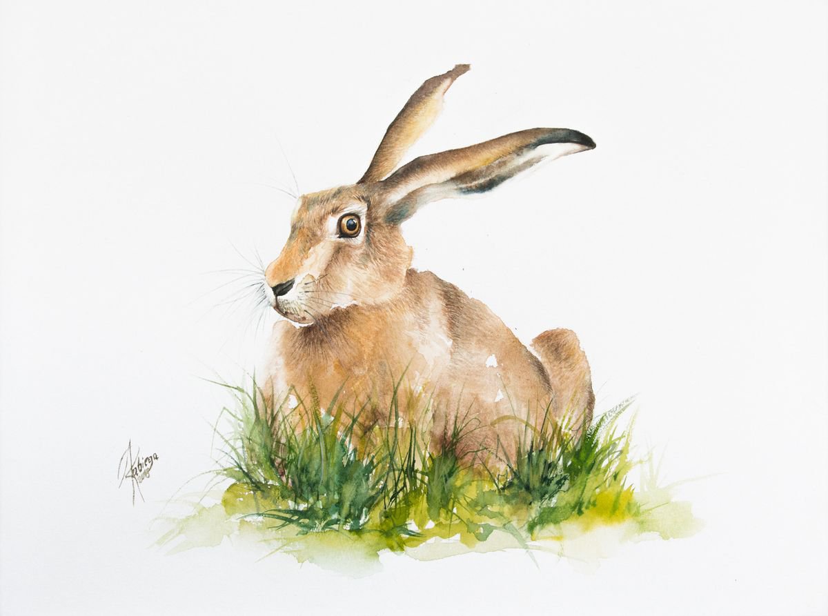 Illustrative Watercolour , Hare By Andrzej Rabiega, 16 X 12, Artwork For Sale On Artfinder