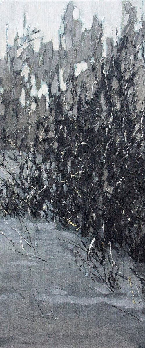 Gray by Olena Horhol