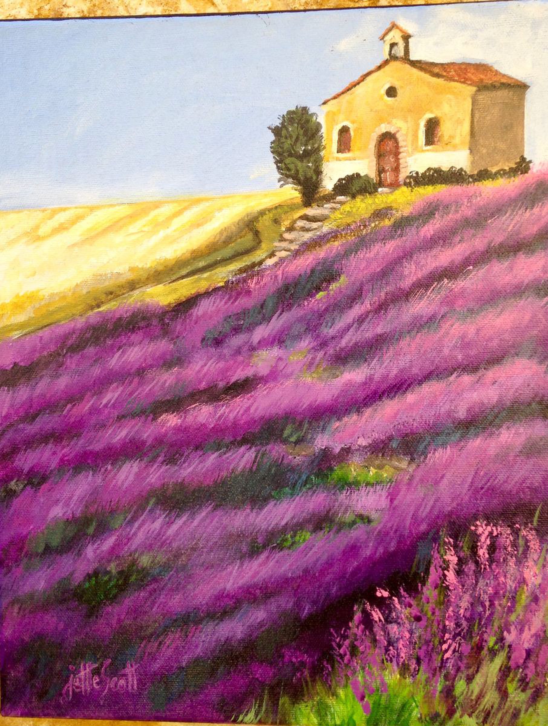Lavender Fields