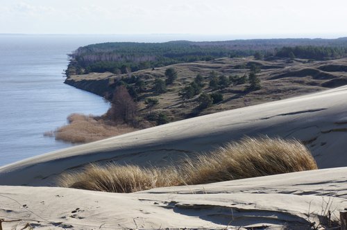 Photography | Dead dunes by Ruta UM