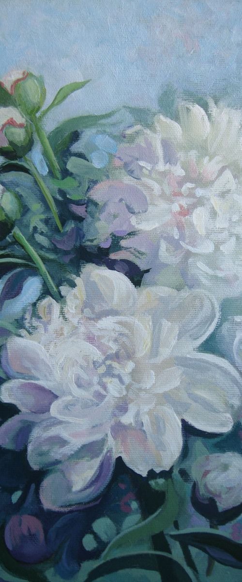 White peonies by Elena Oleniuc