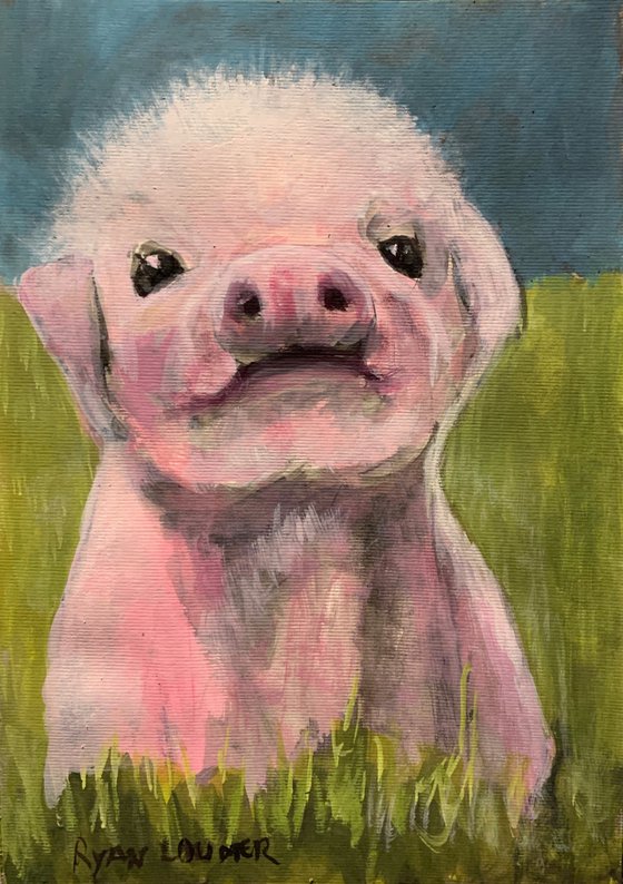 Cute Little Piggy