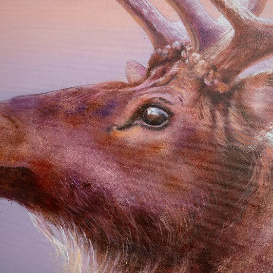 Red deer