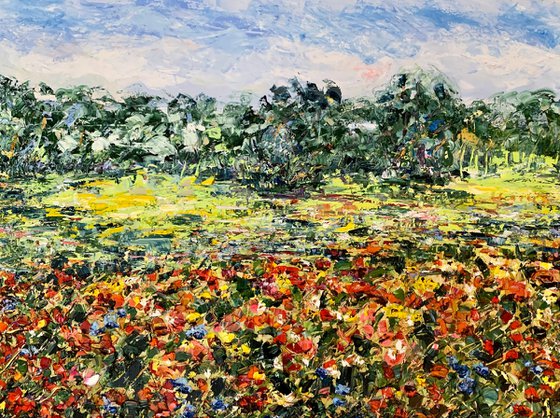 Poppy field