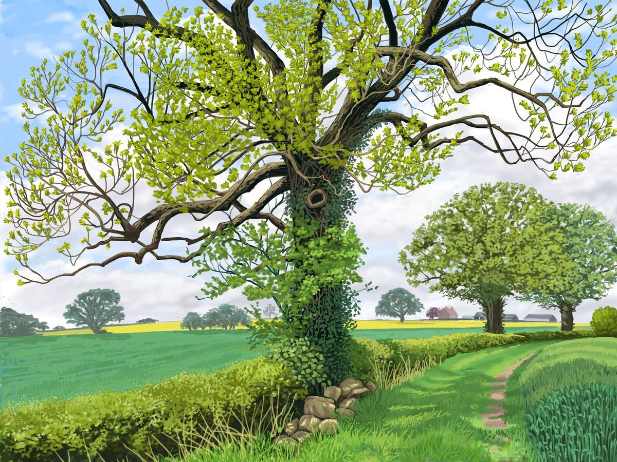 May Tree, Farlington, North Yorkshire by Jeff Parker