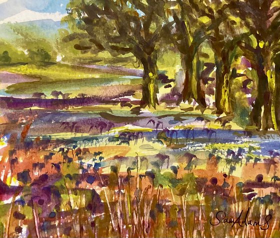 Old oaks, bluebells, Wiltshire