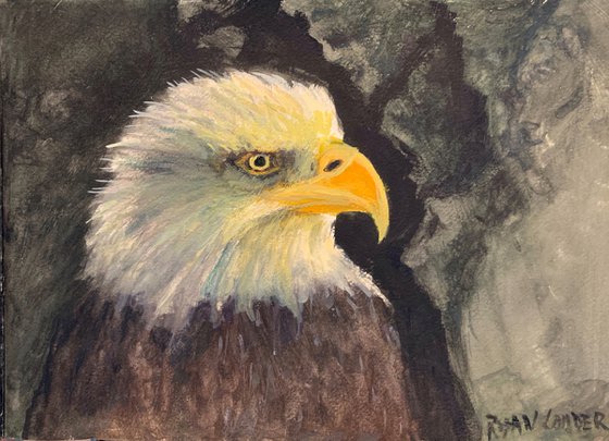 Eagle Study