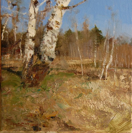 Spring birch