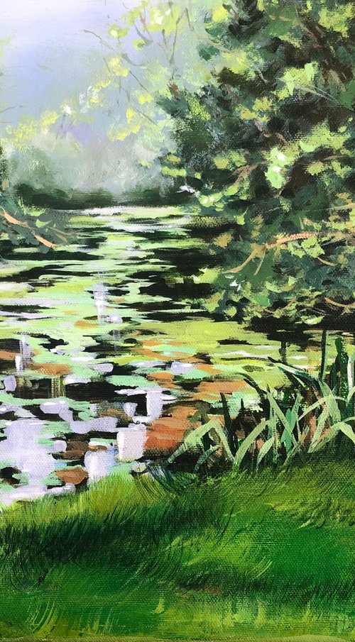 Doneraile park river by Alina Karpova