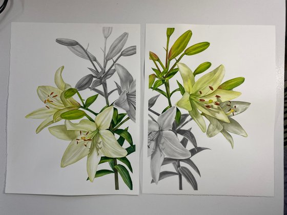 Diptych `The Edge`