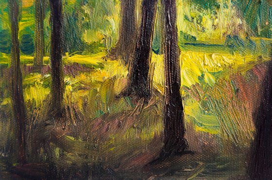 The Structure of Sunlight