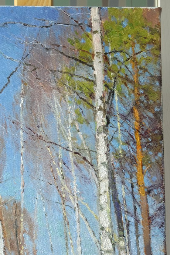 Spring on the Chibyshva River