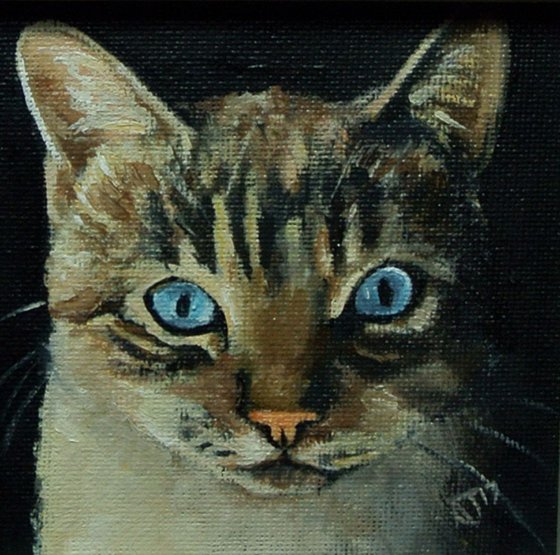 Portrait of a Cat Painting, Framed and Ready to Hang