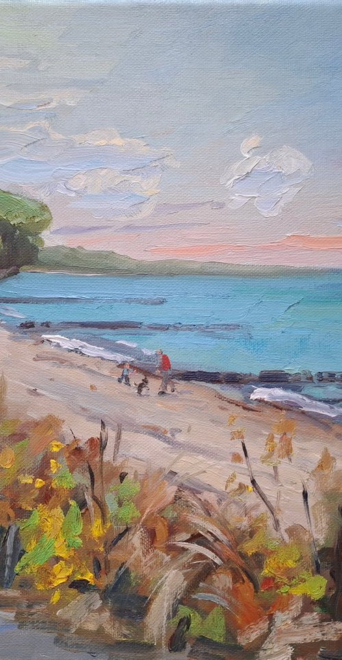 Baltic seashore by Olena Kolotova