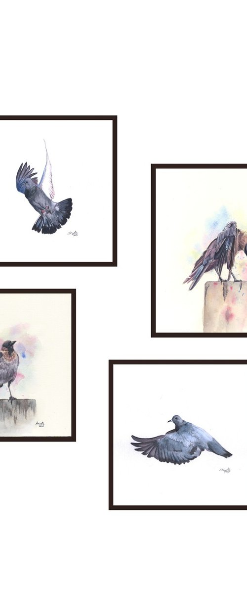 Collection of birds by Shweta  Mahajan