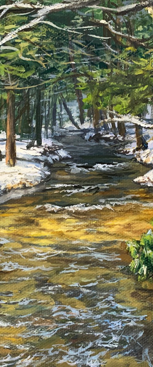 Winter Creek by Steph Moraca