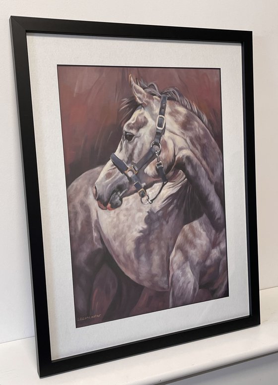 Looking Back - Grey Arab