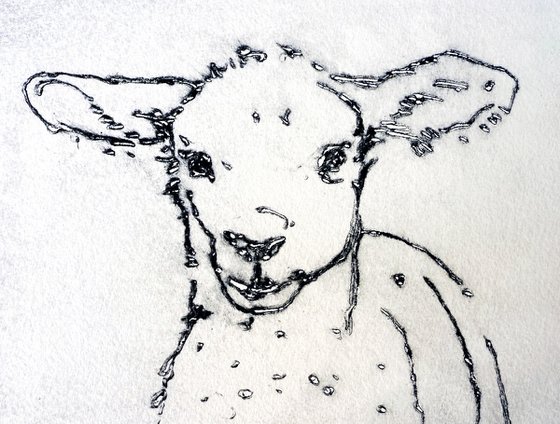 Lamb