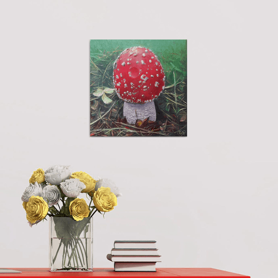 Fly agaric red