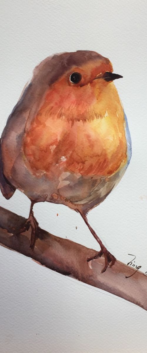 Big fat bird by Jing Chen