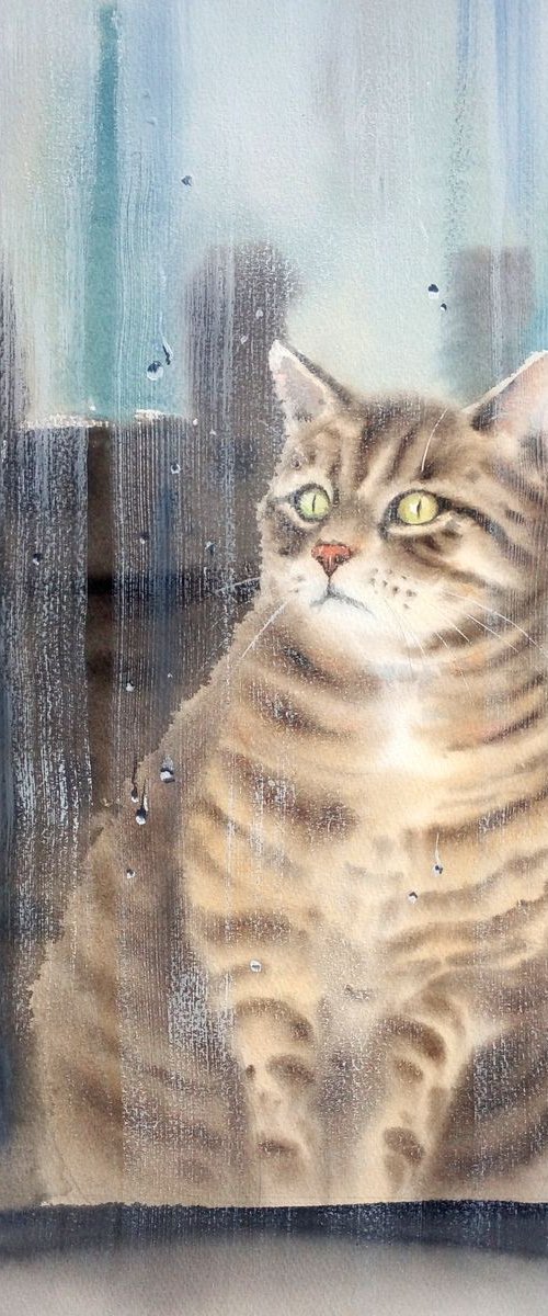 Rainy Cat ≧^◡^≦ - cat looking by Olga Beliaeva Watercolour
