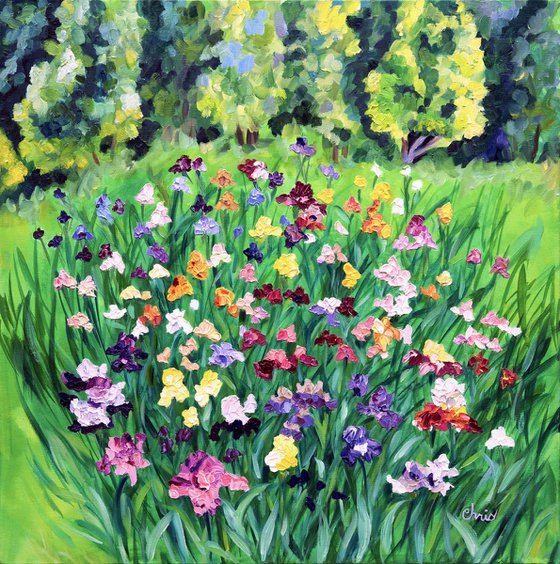 iris Garden II