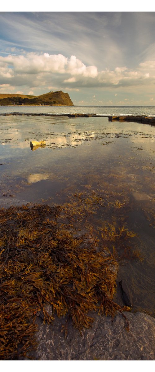 Kimmeridge IV by David Baker