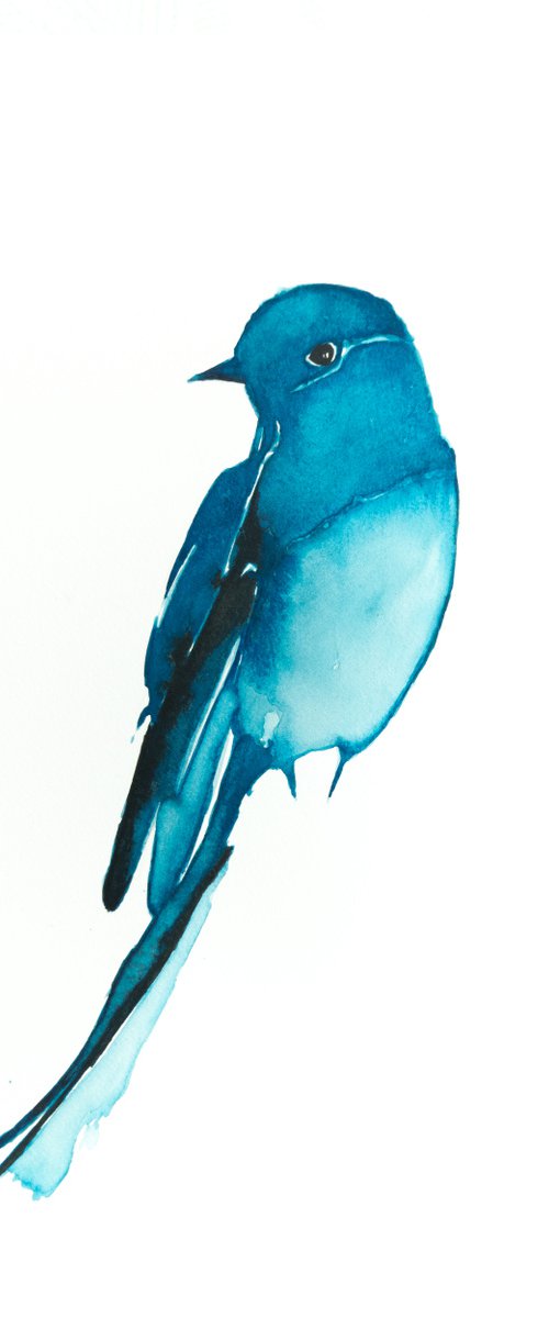 Bird by Nadia Moniatis