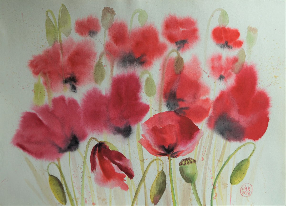 Poppies by Monica Rus