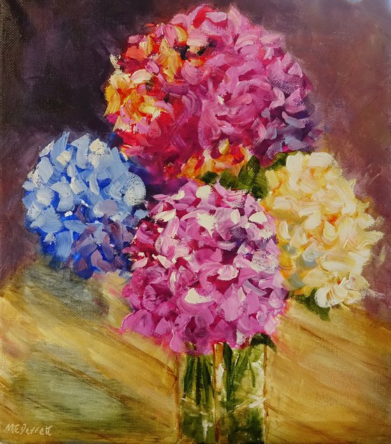 Four Hydrangeas