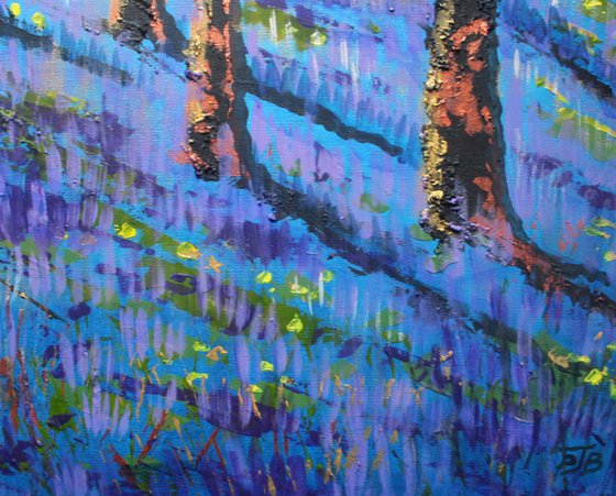 Bluebell wood V