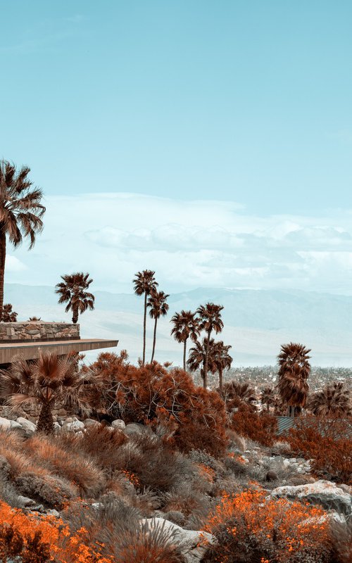 THE EDRIS HOUSE - Palm Springs by Harv Greenberg