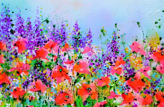 Wild Red Poppy, Poppies Field