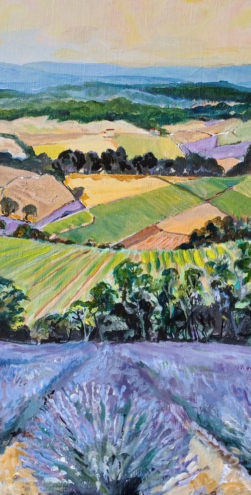 Luberon Landscape by Chris Walker