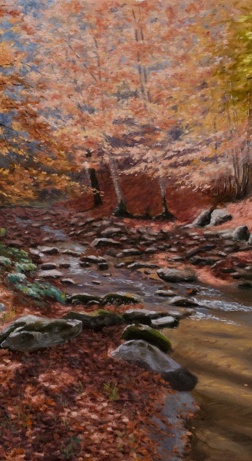 Sunny Autumn in the Forest by Dejan Trajkovic