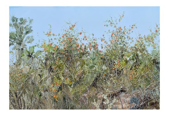 An Abandoned Spanish Orange Orcha