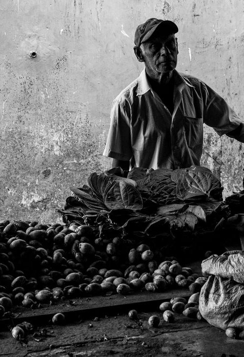 Fruit Market Galle  - Sri Lanka by Stephen Hodgetts Photography