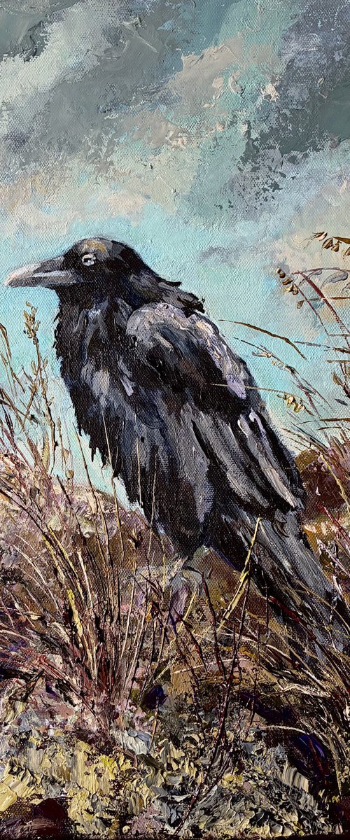 The Crow by Colette Baumback