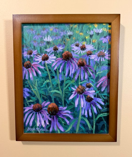Purple Coneflowers